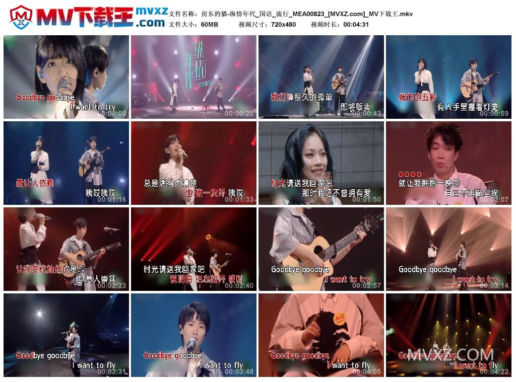 房东的猫-纵情年代_国语_流行_MEA00823